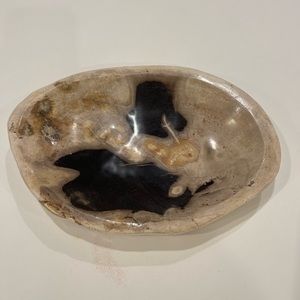 Petrified Wood Bowl